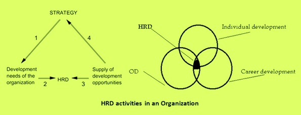 HRD activities