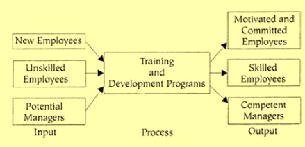 Training and development process