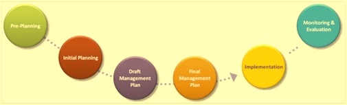 Steps in management planning