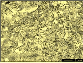 Micro structure of gray iron
