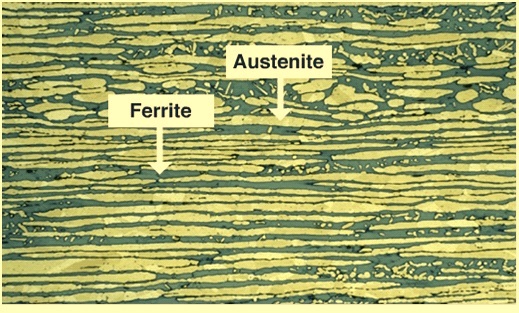 Microstructure of duplex SS