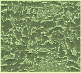 Microstructure of FB steels