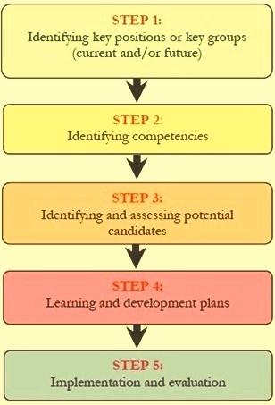 Steps in succession planning process