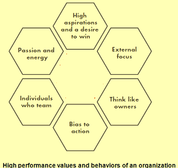 High performance values and behaviours