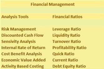 Analysis tools and financial ratios
