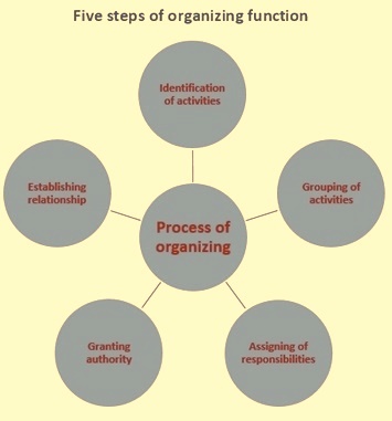 Five steps of organizing function