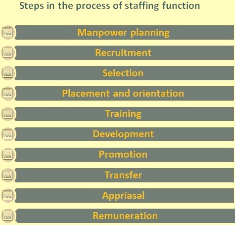 Steps in the process of staffing function