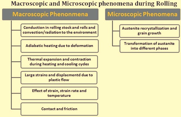 Macroscopic and microscopic phenomena during rolling