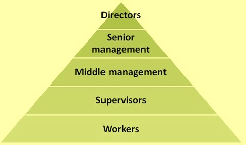 place-of-workers-in-organizational-structure
