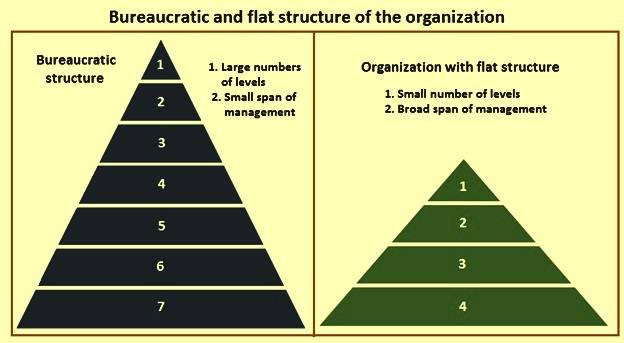 advantages of bureaucratic organization