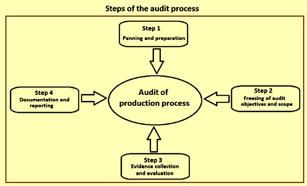 audit assignment execution process