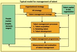 Talent Management – IspatGuru